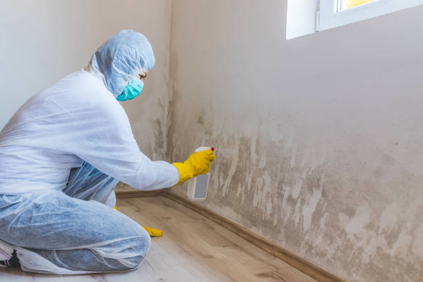 Mold Remediation specialist working in Wayland